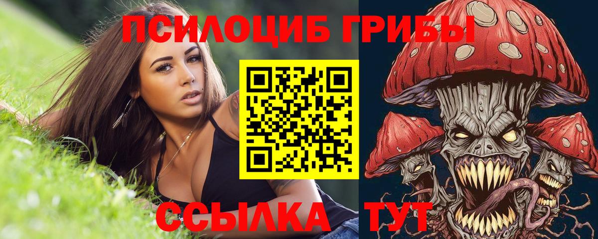 Псилоцибиновые грибы мухоморы  Вход с VPN  Галлюциногенные грибы MAGIC MUSHROOMS  Асбест 