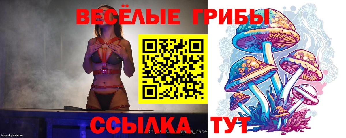 Псилоцибиновые грибы Magic Shrooms Асбест